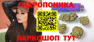 стафф Сланцы