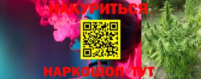 гидропоника Славгород