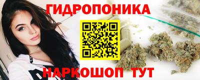 стафф Сланцы