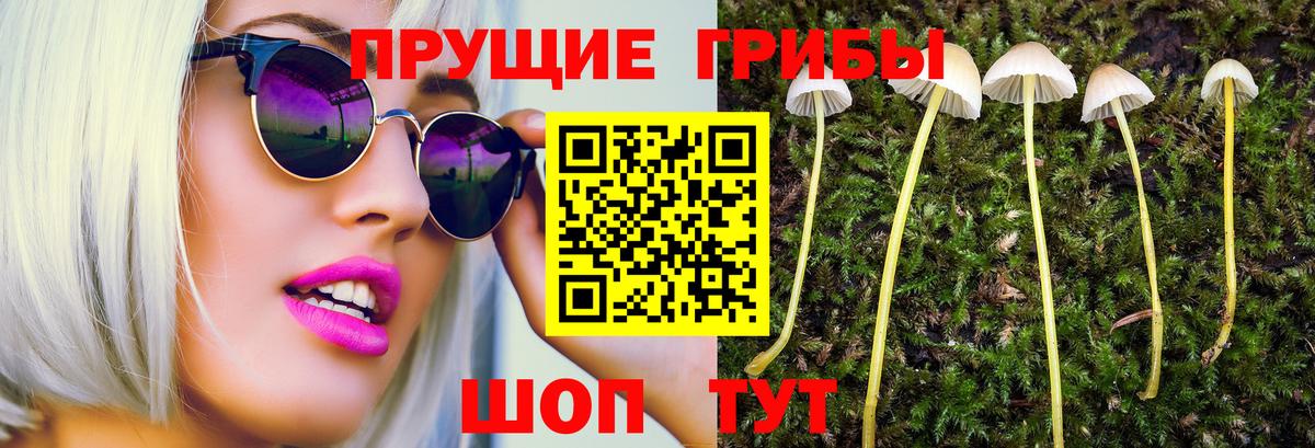 Псилоцибиновые грибы мухоморы  Вход с VPN  сколько стоит  Самара  Псилоцибиновые грибы Psilocybine cubensis 